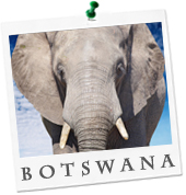 billige Flüge Botswana buchen