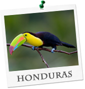 billige Flüge Honduras buchen