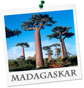 billige Flüge Madagaskar buchen