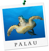 billige Flüge Palau buchen
