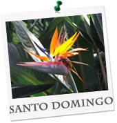billige Flüge Santo Domingo buchen